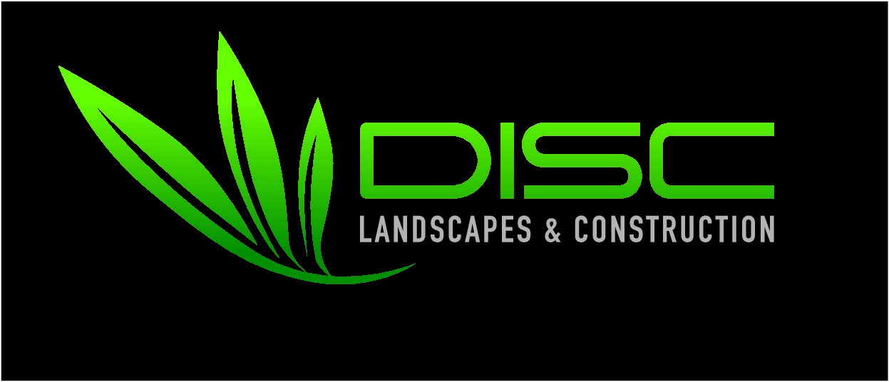 Disc Landscapes